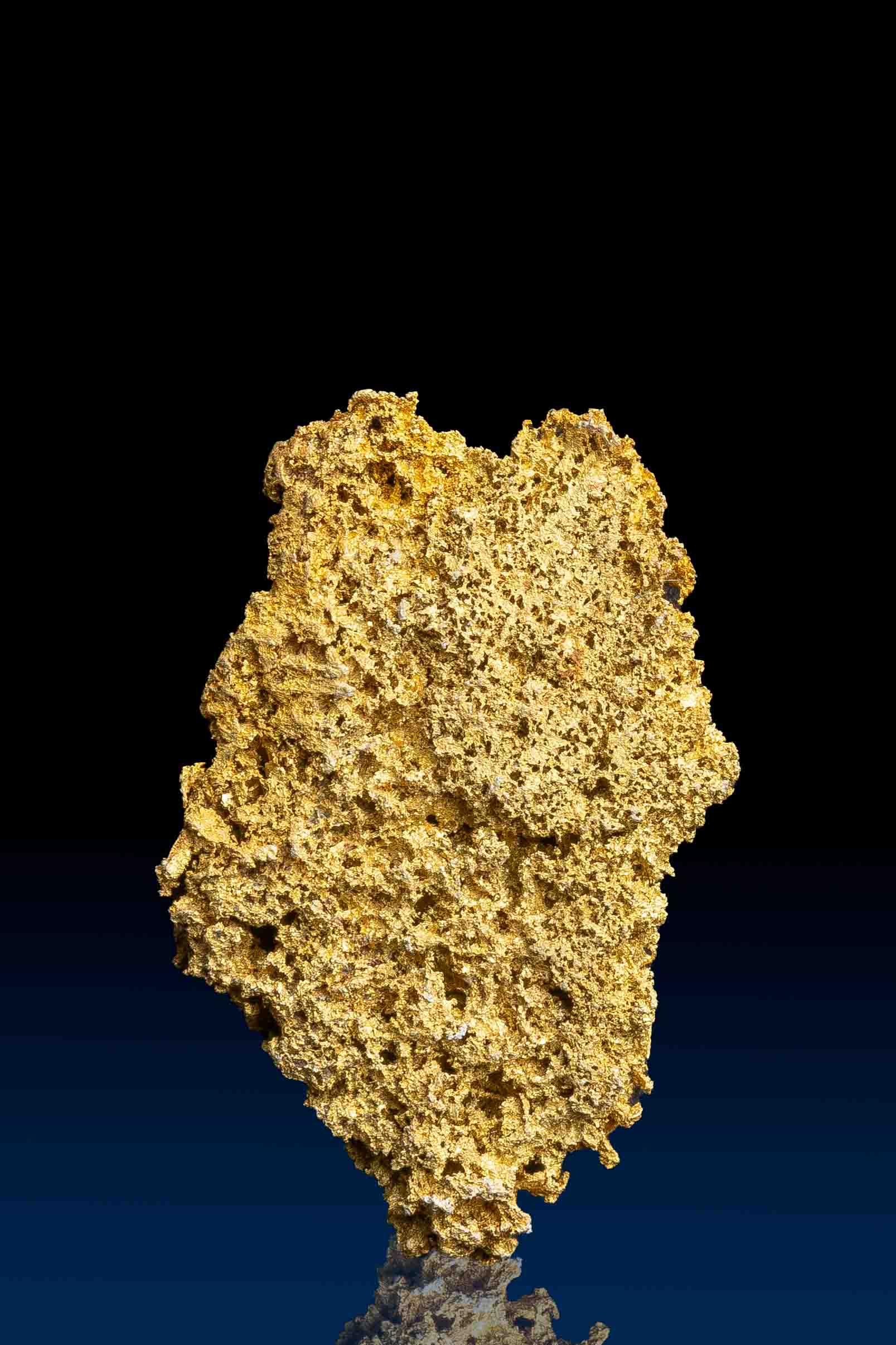 (image for) Intricately Detailed Rare Crystallized Farncomb Hill Gold Specimen - Colorado